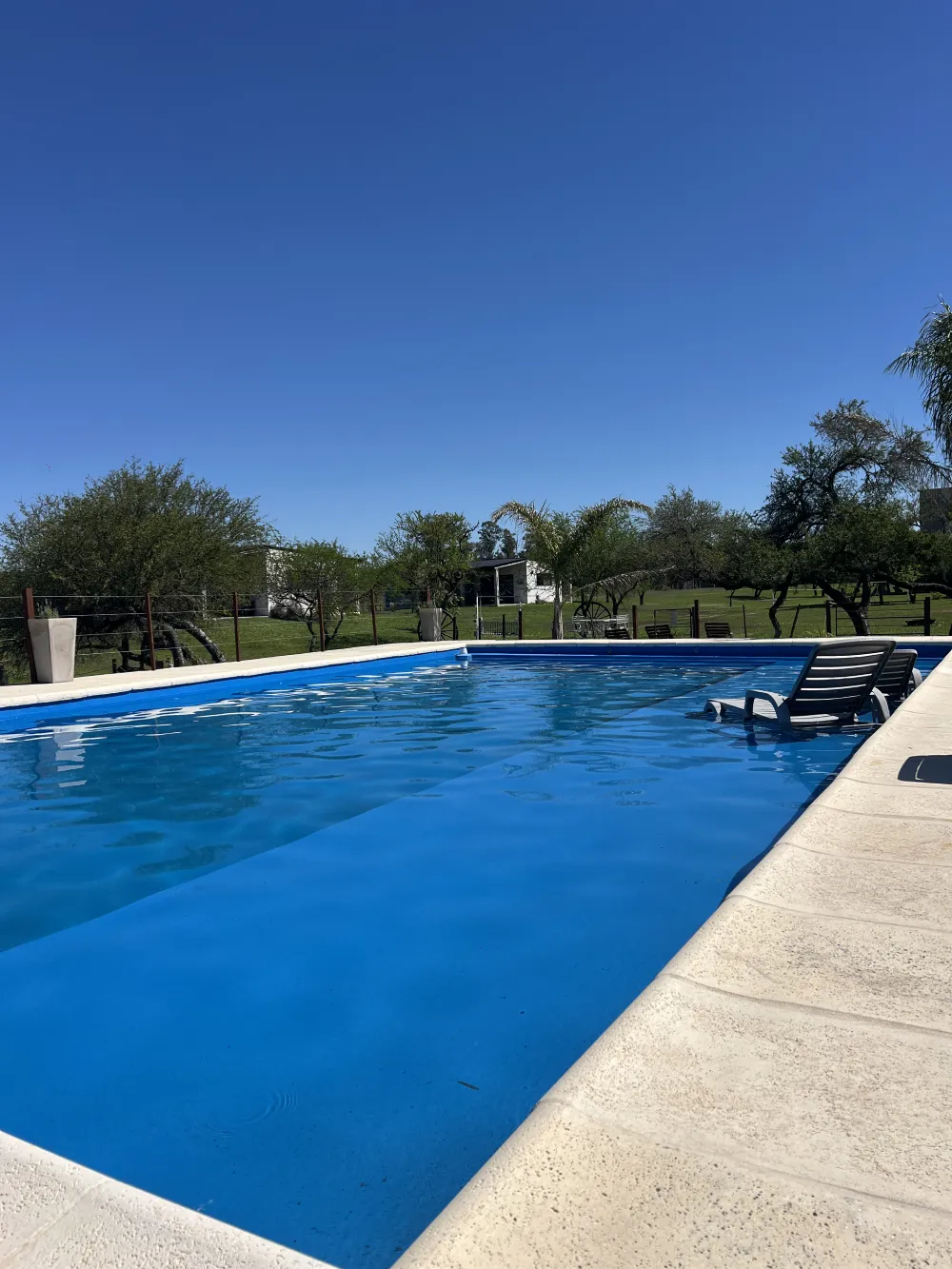 Pileta con entorno natural